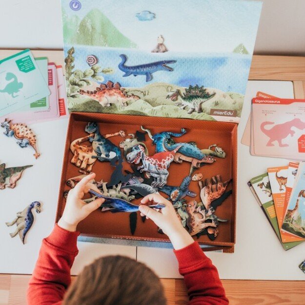 mierEdu - Magnetic Learning Box - All About Dinosaurs (Danish) - (ME098D)