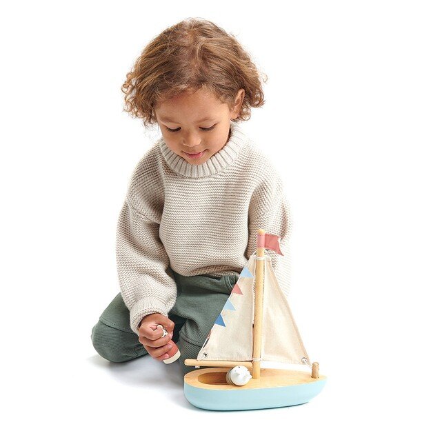 Tender Leaf - Sailaway Boat - (TL8382)