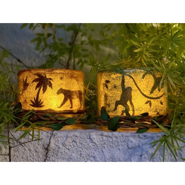 BOX CANDIY - Night Light Jars - Totally Twilight Rainforest - (BC-1940)