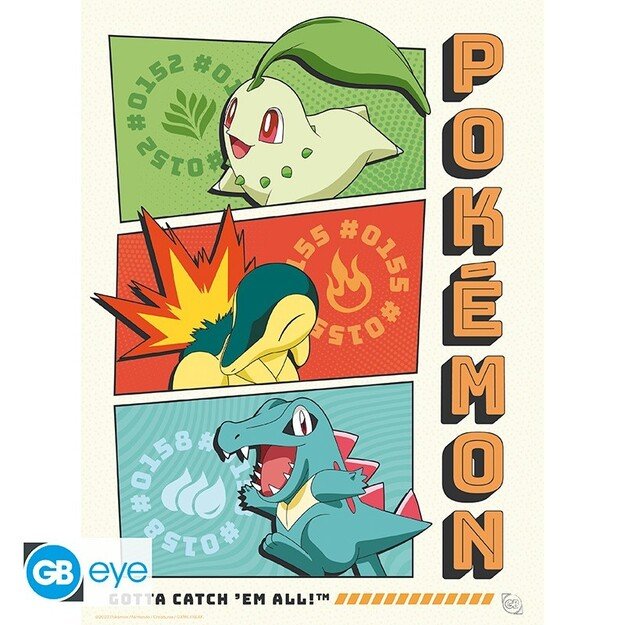 POKEMON - Portfolio 9 posters 