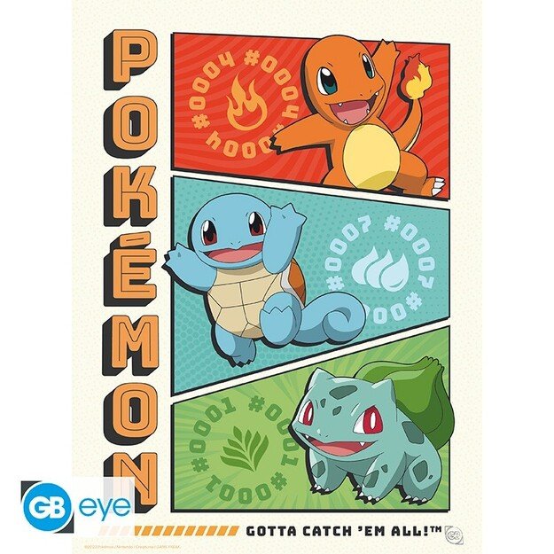 POKEMON - Portfolio 9 posters 