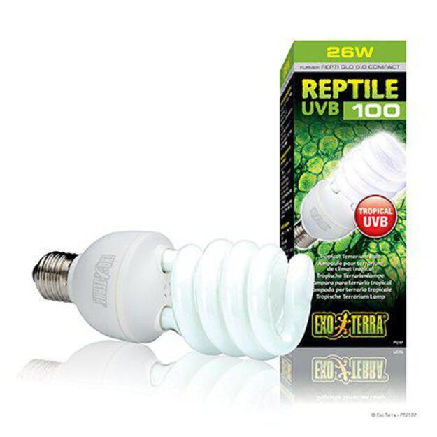 EXOTERRA - Reptile Uvb 100 Fluorescent lamp 25W E27  - (220.1871)