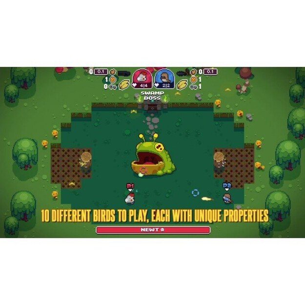 Blazing Beaks
      
        - Nintendo Switch