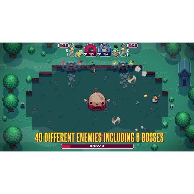 Blazing Beaks
      
        - Nintendo Switch