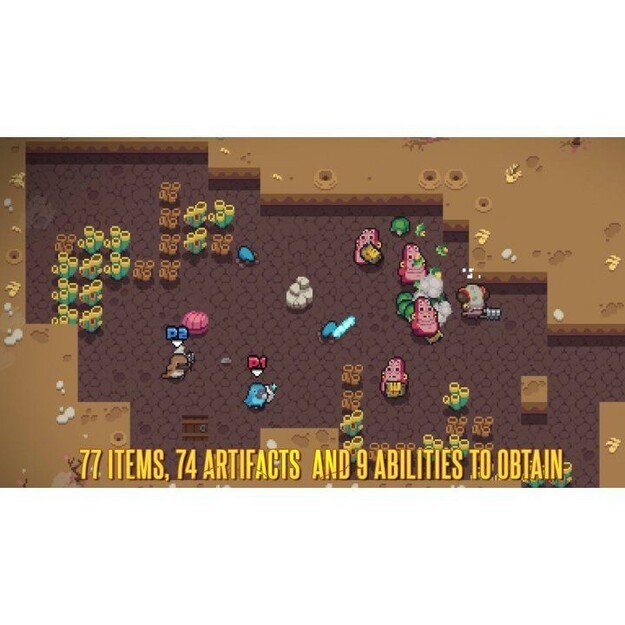 Blazing Beaks
      
        - Nintendo Switch