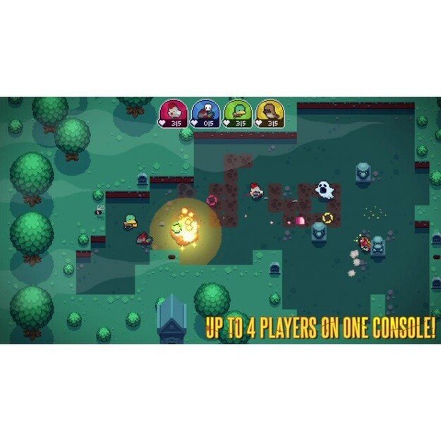 Blazing Beaks
      
        - Nintendo Switch