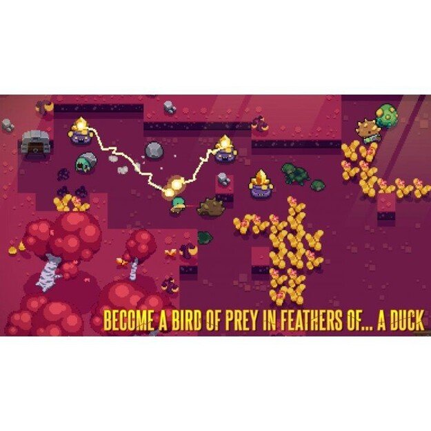 Blazing Beaks
      
        - Nintendo Switch