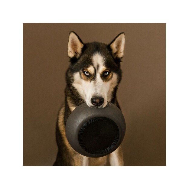 District 70 - BAMBOO Dog Bowl Medium Dark Grey - (871720261396)