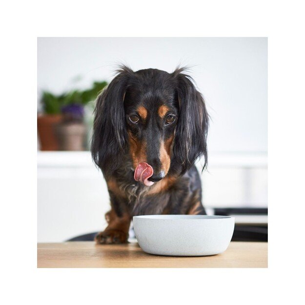 District70 -  BAMBOO Dog Bowl Large Ice Blue - (871720261401)