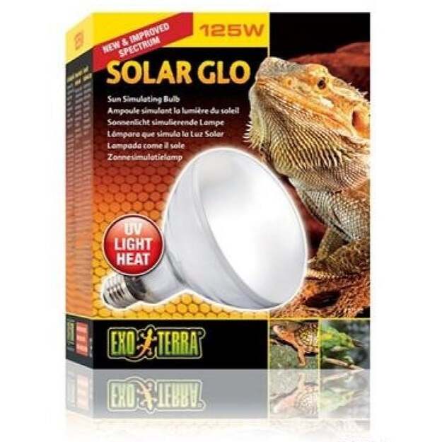 EXOTERRA - Solar Glo 125W Uva/Uvb Heat & Sunlight E27  - (220.1820)