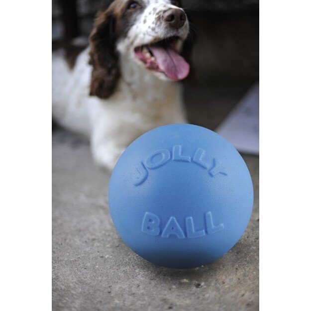 Jolly Pets - Ball Bounce-n Play 20cm Baby Blue (Blue Berry Smell) - (JOLL068JM)