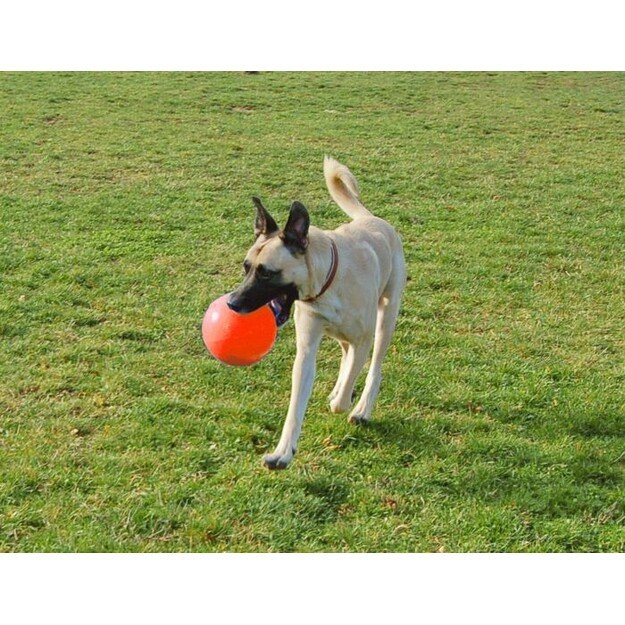 Jolly Pets - Ball Bounce-n Play 15cm Orange (Vanilla Smell) - (JOLL068G)