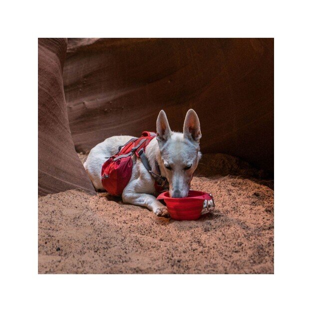 KURGO - Collaps A Bowl, Red - (81314601136)