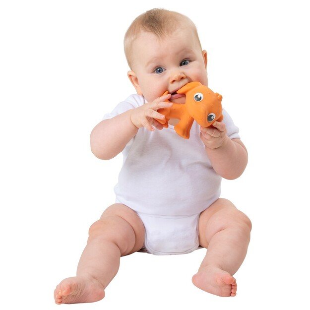 PLAYGRO - Eco Play Natural Rubber Pooky Puppy- Orange (10188822)