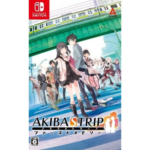 AKIBA’S TRIP: Hellbound & Debriefed
      
        - Nintendo Switch