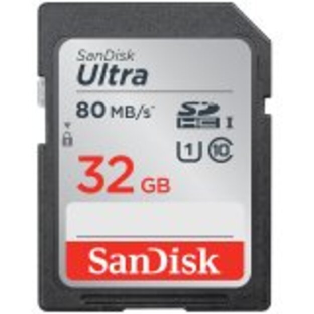 Memory Flash cards SANDISK SDSDUN4-032G-GN6IN