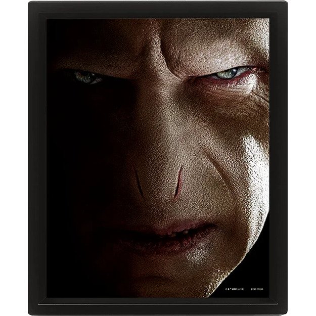 HARRY POTTER (HARRY VS VOLDEMORT) - FRAMED