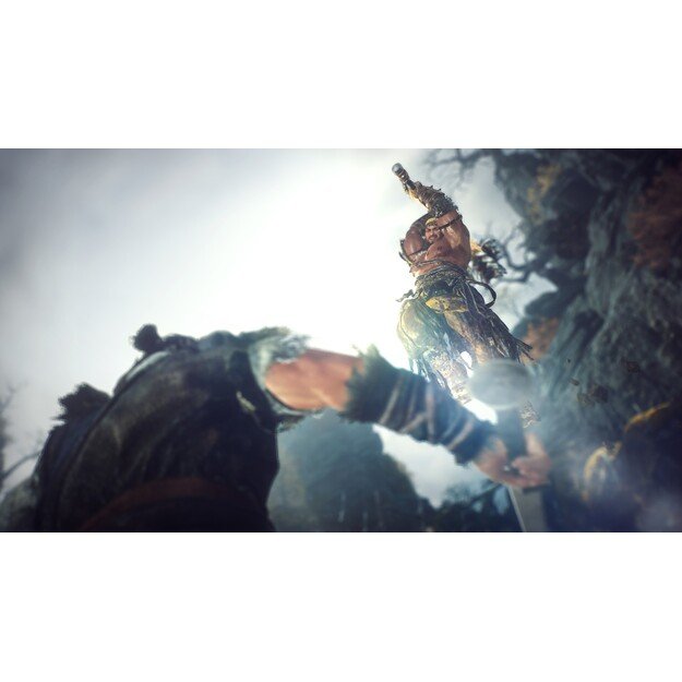 Wo Long: Fallen Dynasty
      
        - PlayStation 4