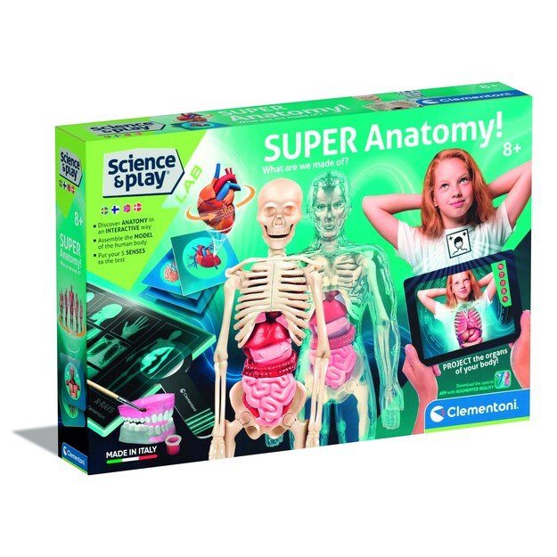 Clementoni - Science & Play - Super Anatomy (Nordic) (78826)