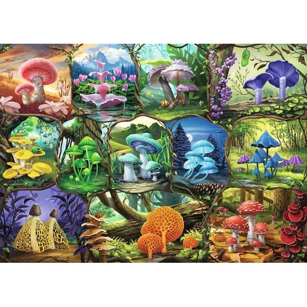 Ravensburger - Beautiful Mushrooms 1000p - (10217312)