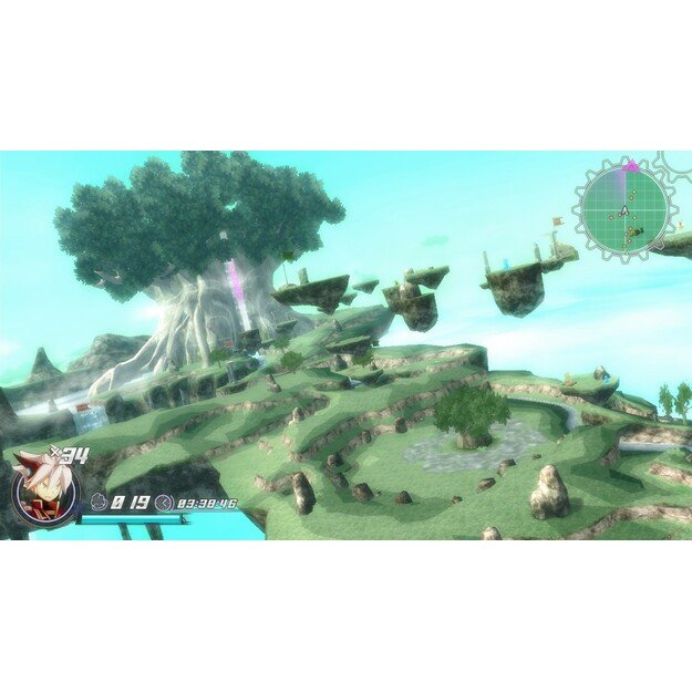 Rodea the Sky Soldier
      
        - Nintendo 3DS