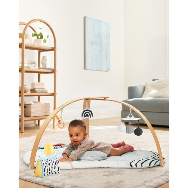 Skip Hop - Discoverosity Babygym