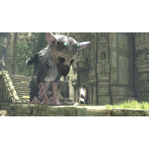 The Last Guardian
      
        - PlayStation 4