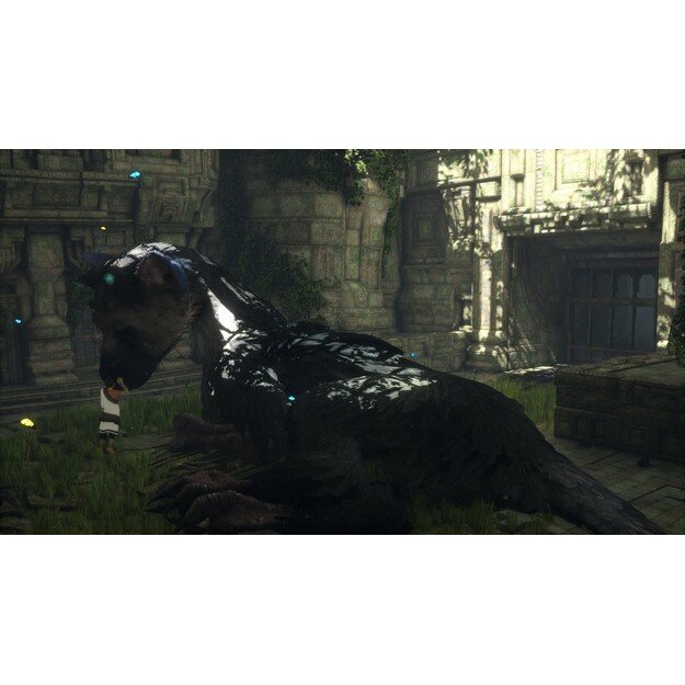 The Last Guardian
      
        - PlayStation 4