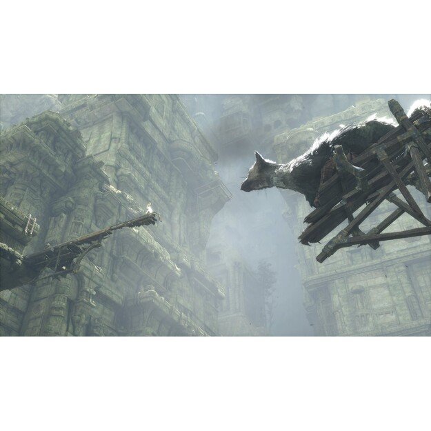 The Last Guardian
      
        - PlayStation 4