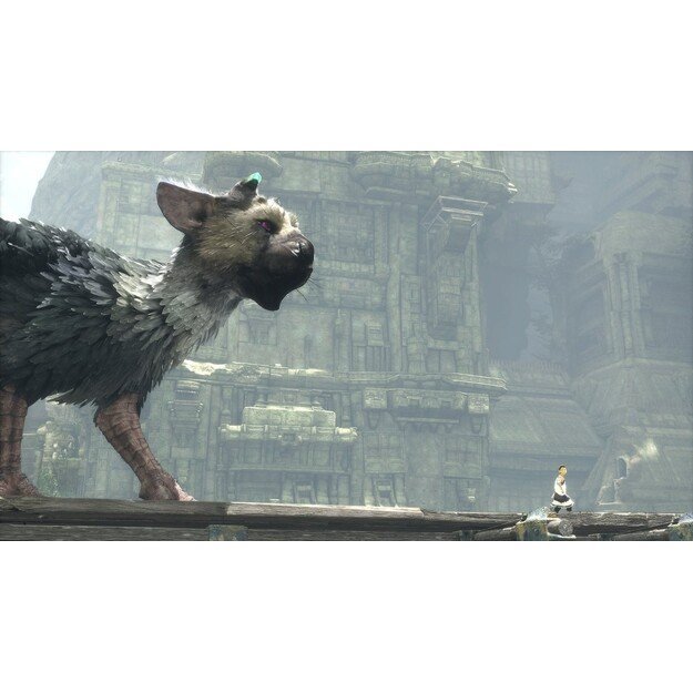 The Last Guardian
      
        - PlayStation 4