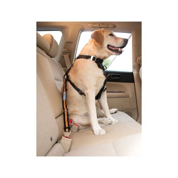 Kurgo - Direct to Seatbelt Tether, Blue - (81314601965) 1