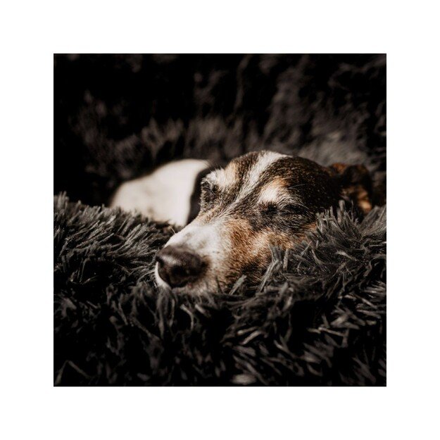 District70 - Fuzz Dog- and catbed, dark grey, Medium - (871720261392)