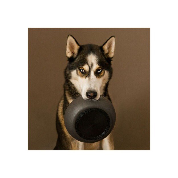 District70 -  BAMBOO Dog Bowl Large Dark Grey - (871720261397)