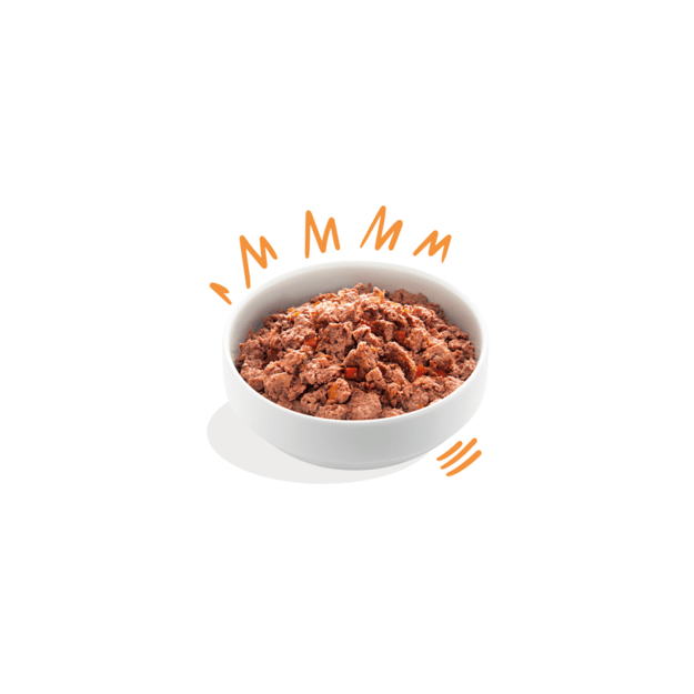 Edgard Cooper - Chicken & Turkey Adult Wet food 400gr - (542503948530)