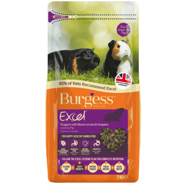 Burgess - Guinea Pig Nuggets with Blackcurrant & Oregano - 10 kg (40018)