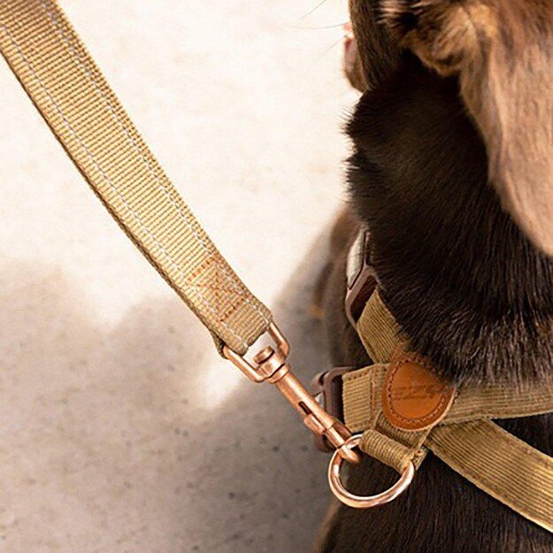 Ezydog - Leash Soft Trainer Corduroy Lite 12Mm X181Cm <20Kg - (605.0700)