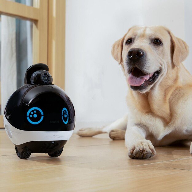 Enabot  - EBO X  Family and pet  Companion and Security Robot - (WH287303)