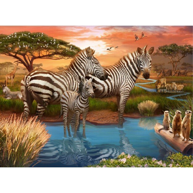 Ravensburger - Puzzle Zebras In Sunset 500p (12000365)