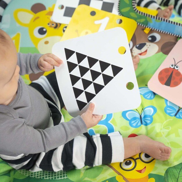 Baby Einstein - Discovery Garden™ Tummy Time Mat & Mirror - (BE-16788)