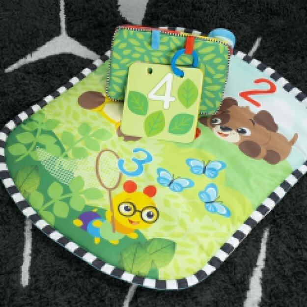 Baby Einstein - Discovery Garden™ Tummy Time Mat & Mirror - (BE-16788)