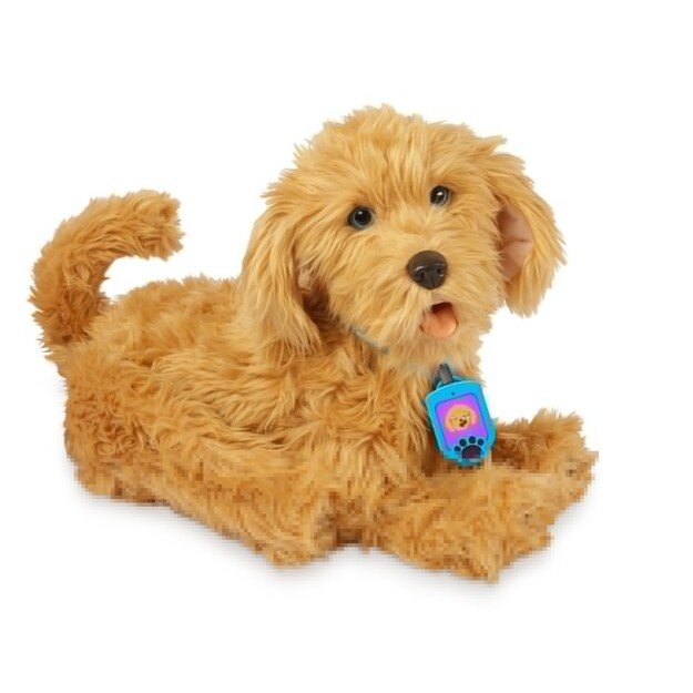 My Fuzzy Friend - Moji  the Lovable Labradoodle (DK/SE) (30374)