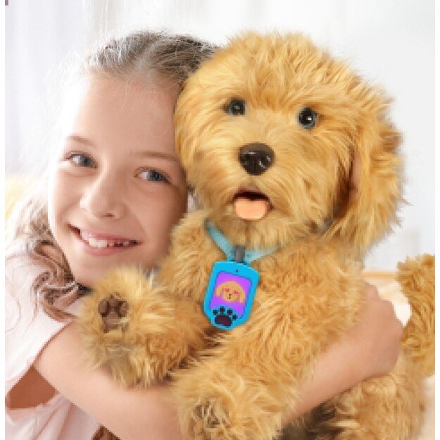 My Fuzzy Friend - Moji  the Lovable Labradoodle (DK/SE) (30374)