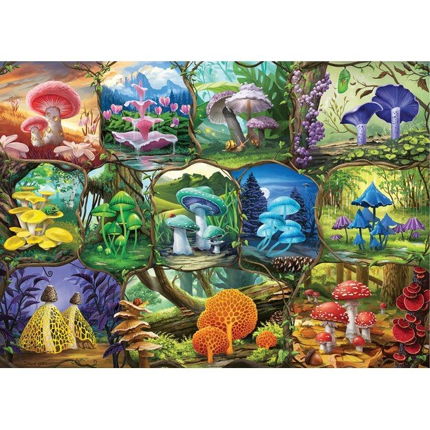 Ravensburger - Puzzle Beautiful Mushrooms 1000p (12000424)