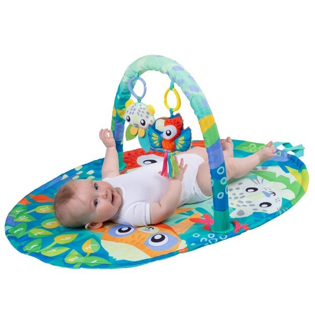 PLAYGRO - Mighty Milestones Play Gym (10188673)