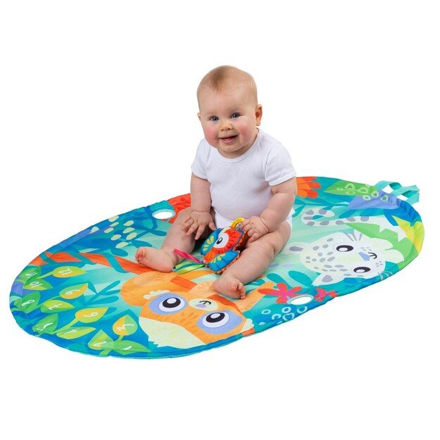 PLAYGRO - Mighty Milestones Play Gym (10188673)