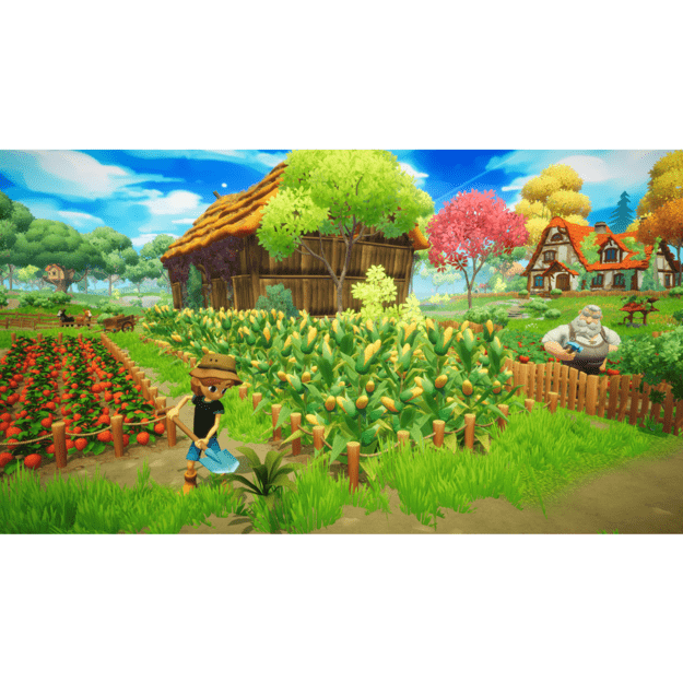 Everdream Valley
      
        - Nintendo Switch