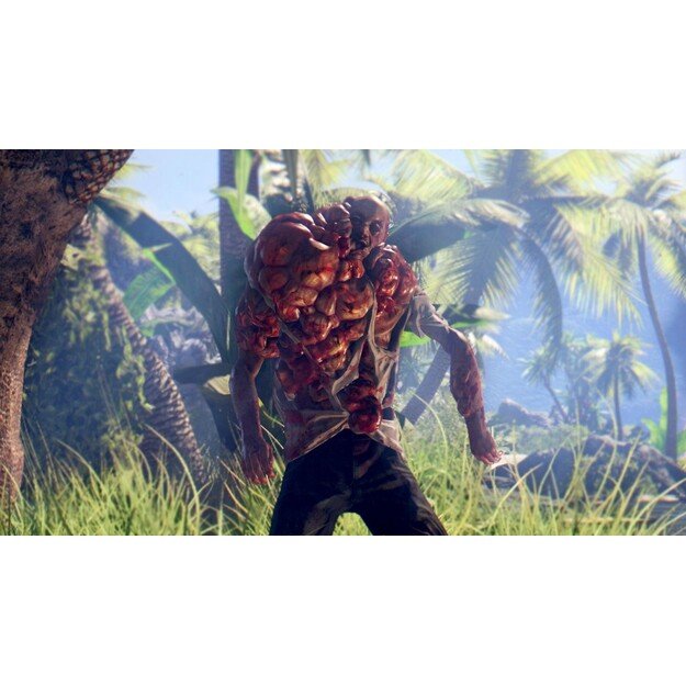 Dead Island - Definitive Collection
      
        - PlayStation 4