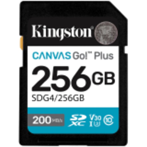 Memory Flash cards KINGSTON SDG4/256GB