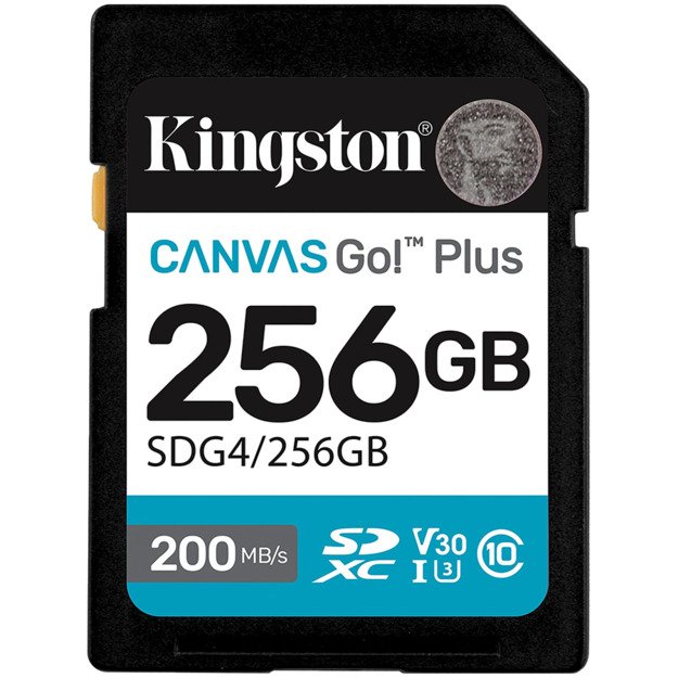 Memory Flash cards KINGSTON SDG4/256GB 1