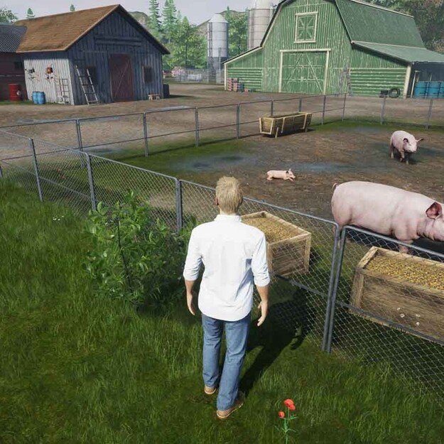 My Life Farm Vet
      
        - Nintendo Switch